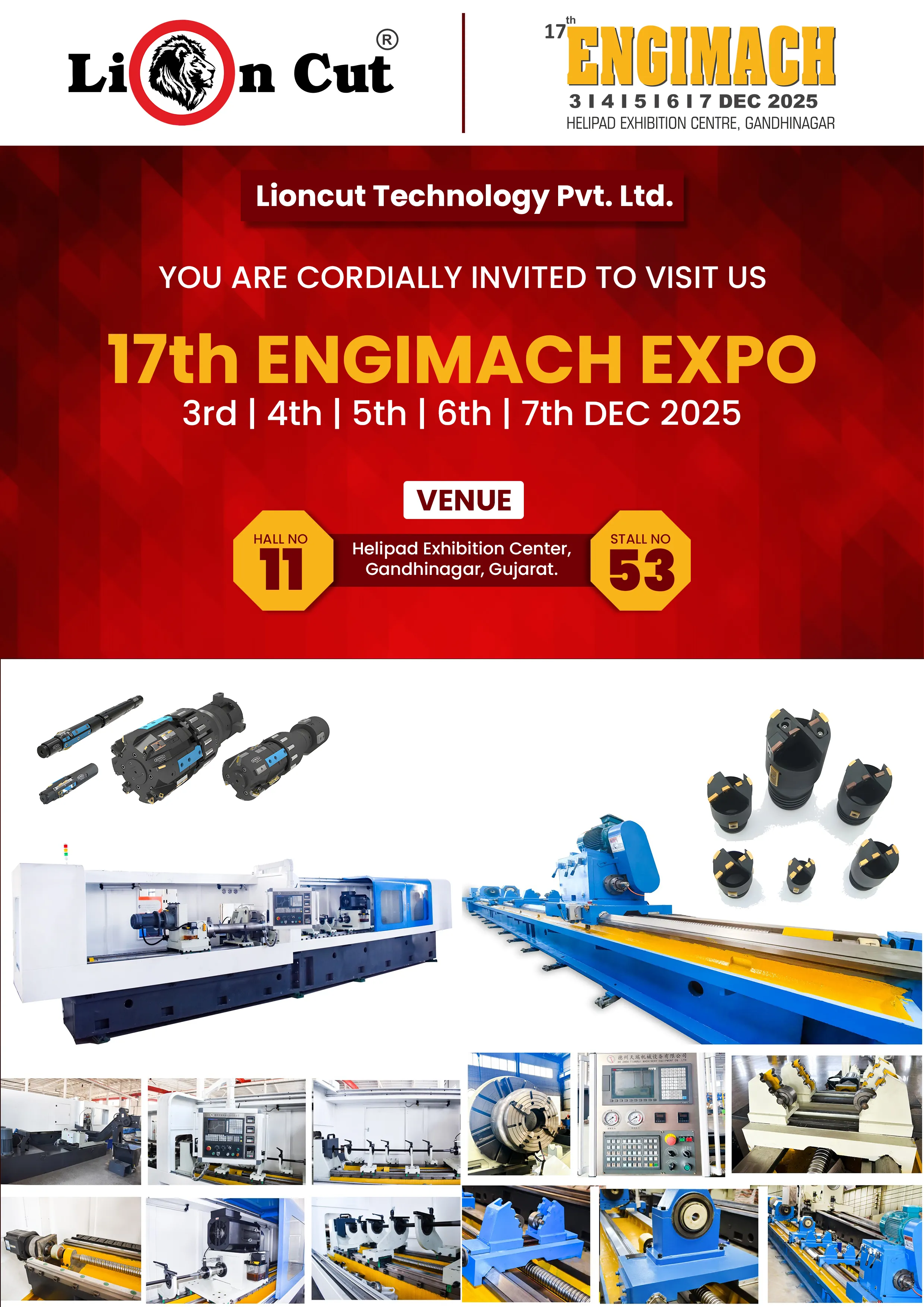 Lioncut Gallery Content